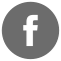 Facebook ico